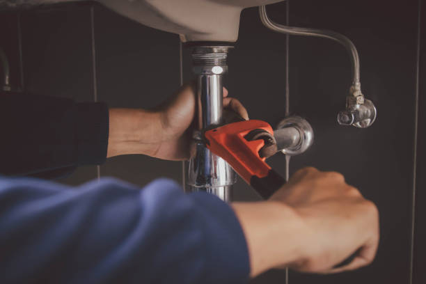 Best Local Plumber Services  in Hickory Hls, IL